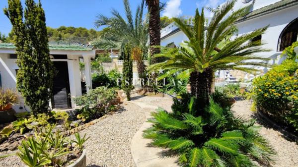 Casa independiente en calle la Tórtola