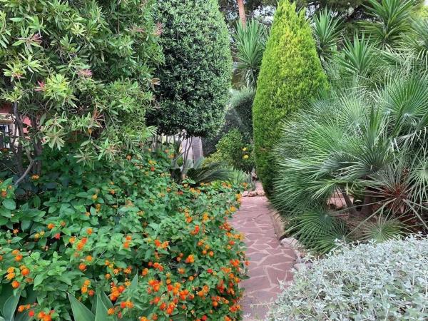 Casa independiente en calle la Guatla