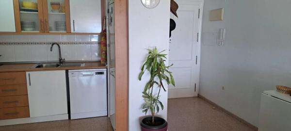 Piso en calle hisenda de l'administrador, 3