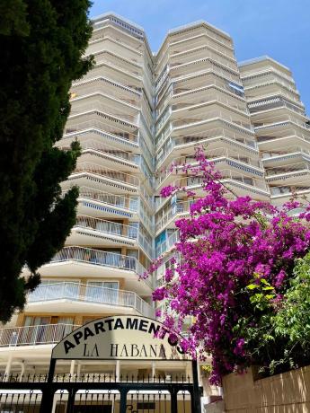 Piso en avenida Jaime i el Conquistador, 20