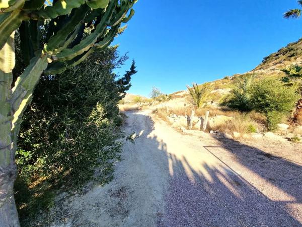 Casa independiente en calle els Ports, 24