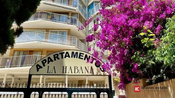 Piso en avenida Jaime i el Conquistador