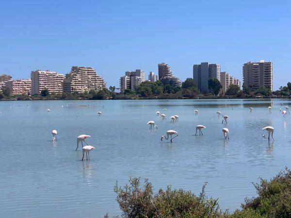 Piso en camino Juan Carlos l, 30 b