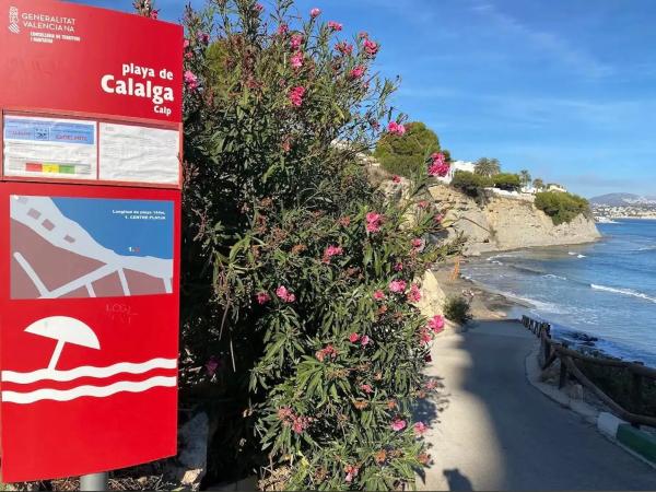 Estudio en Av Rosa De Los Vientos, 11