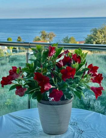 Piso en calle Jose María Ruiz Pérez-Aguila, 6