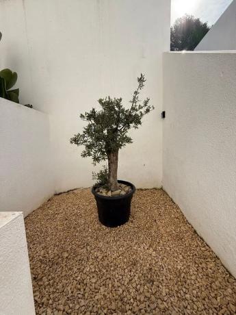 Chalet pareado en Partida Empedrola Sup, 7