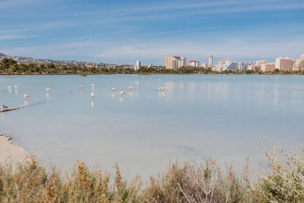 Estudio en calle Luxemburgo, 24