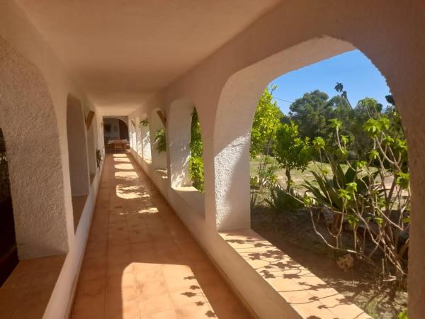 Casa terrera en Partida Oltamar