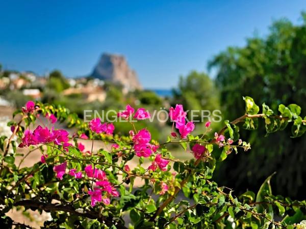 Finca rústica en Urbanización Canuta de Ifach
