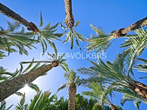 Finca rústica en Urbanización Canuta de Ifach