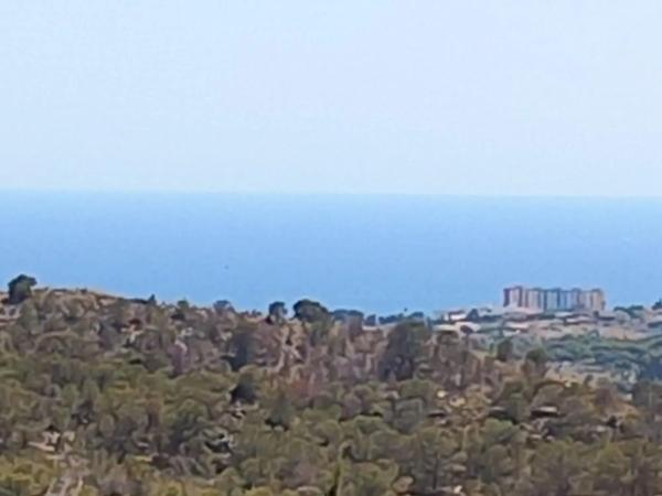 Chalet adosado en avenida de Granada