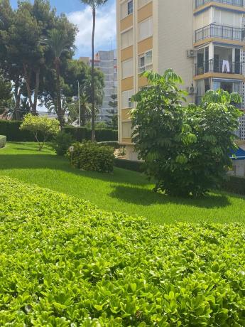 Piso en calle Rei Jaume i s/n