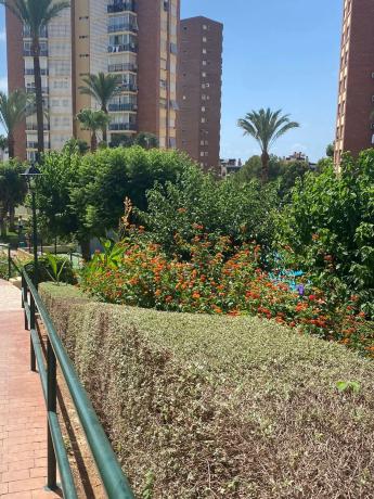 Piso en calle Rei Jaume i s/n