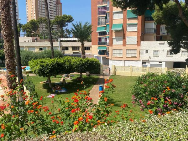 Piso en calle Rei Jaume i s/n