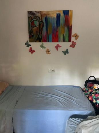 Piso en calle Rei Jaume i s/n