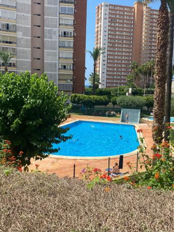 Piso en calle Rei Jaume i s/n