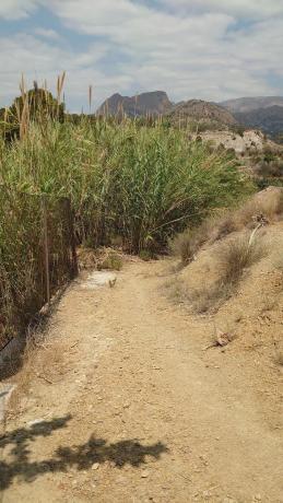 Finca rústica en Cv-758, 2