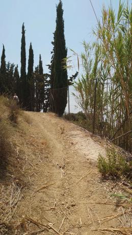 Finca rústica en Cv-758, 2