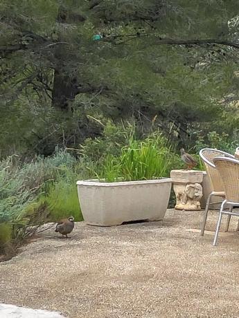 Casa independiente en finestrat