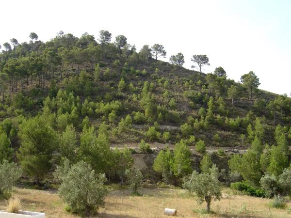 Finca rústica en Cv-758, 12