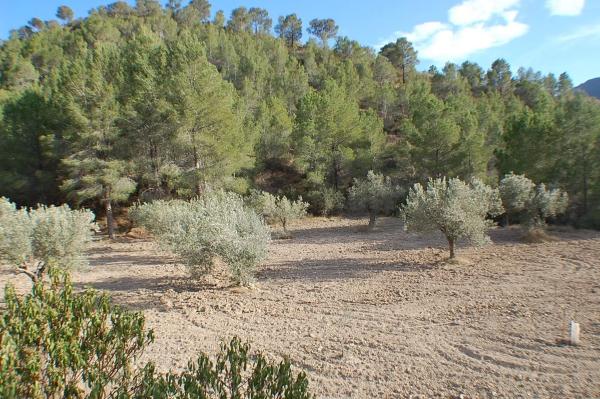 Finca rústica en Cv-758, 12