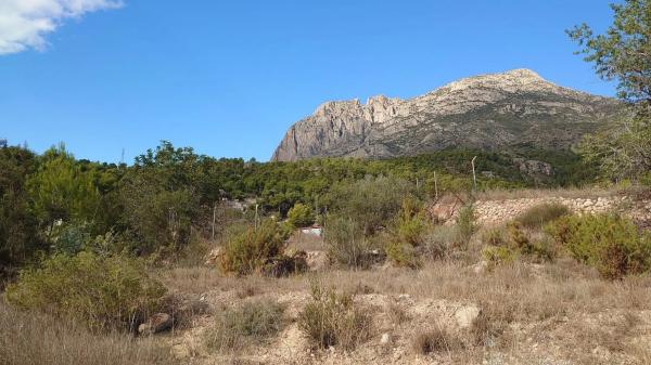 Finca rústica en Partida Raco Bosuna, 23