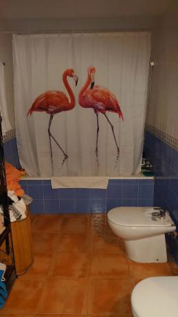 Piso en calle l'Hort