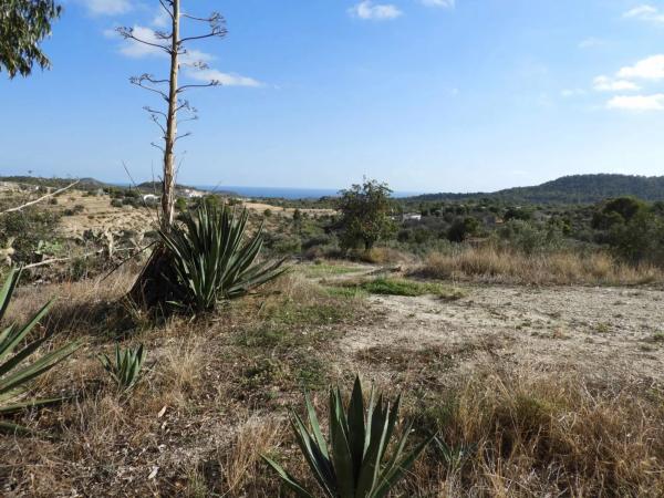 Finca rústica en Partida Cami la Vila