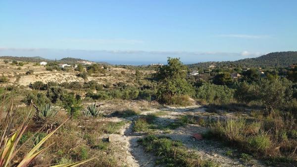 Finca rústica en Partida Cami la Vila