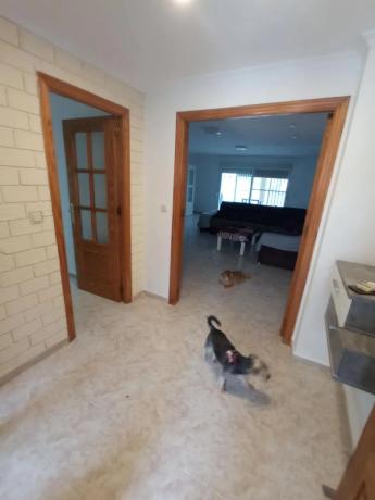 Casa independiente en calle de I'Ametller