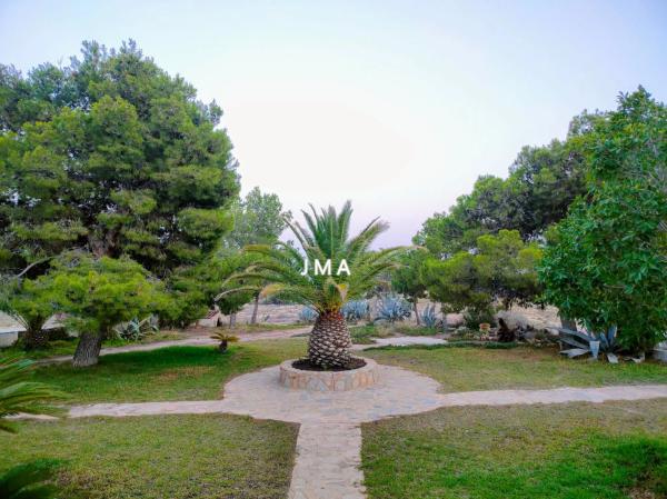 Finca rústica en Partida Tossal Redó s/n