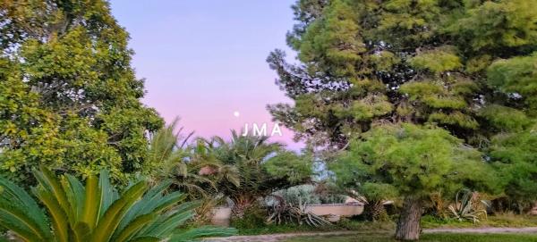 Finca rústica en Partida Tossal Redó s/n