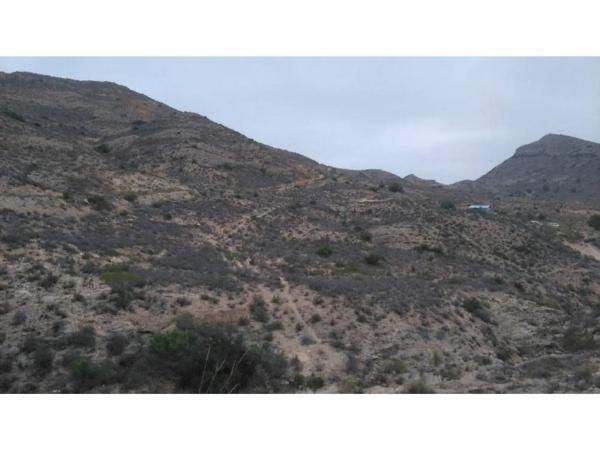 Finca rústica en Partida Tossal Redó, 396