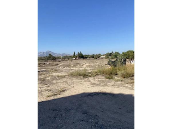 Finca rústica en Partida la Obrera