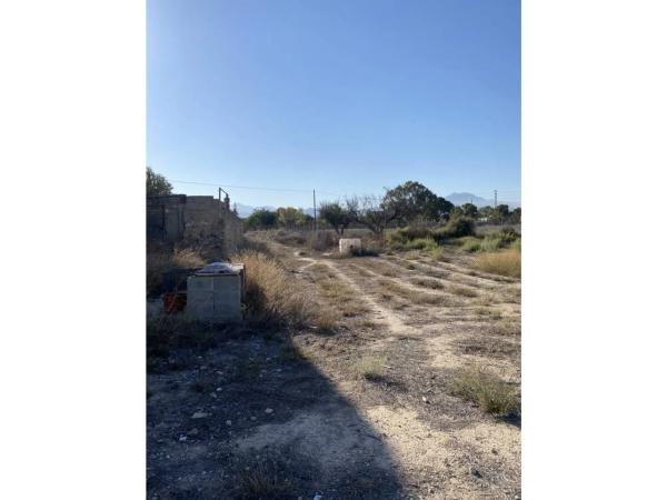 Finca rústica en Partida la Obrera