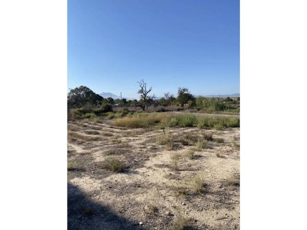 Finca rústica en Partida la Obrera