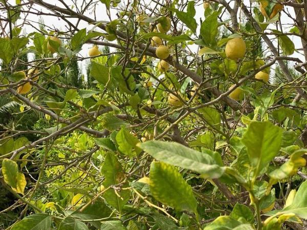 Chalet en Alfaz del Pi Pueblo-Urbanizaciones
