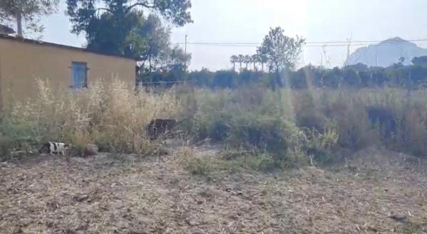 Chalet en Alfaz del Pi Pueblo-Urbanizaciones