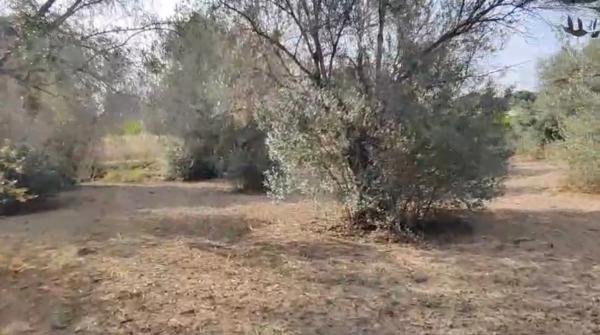 Chalet en Alfaz del Pi Pueblo-Urbanizaciones