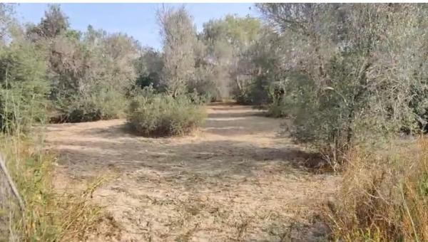 Chalet en Alfaz del Pi Pueblo-Urbanizaciones