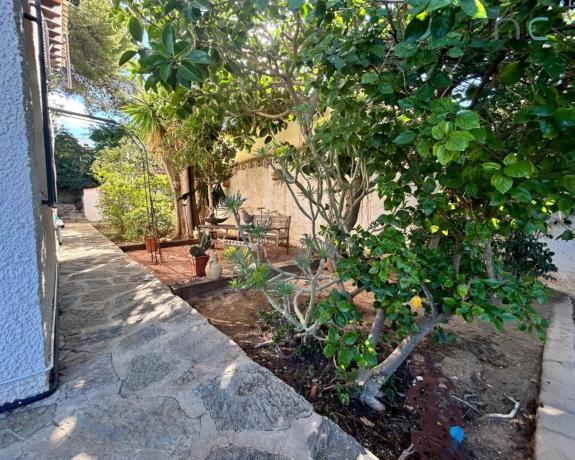 Casa independiente en calle Siriá