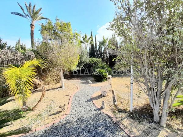 Casa independiente en calle Belgrado