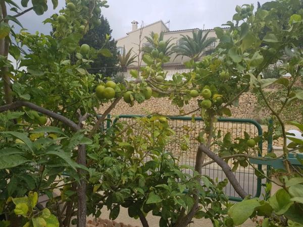 Chalet en calle Flores