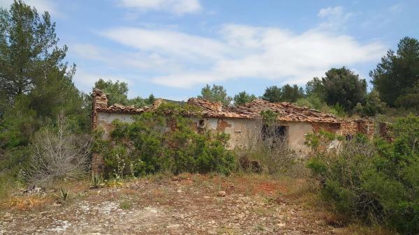Finca rústica en Partida Canor, 98