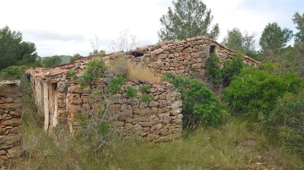 Finca rústica en Partida Canor, 98