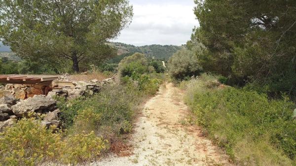Finca rústica en Partida Canor, 98
