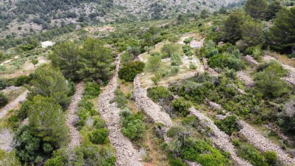 Finca rústica en Partida Canor, 98