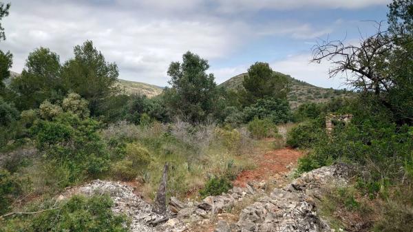 Finca rústica en Partida Canor, 98