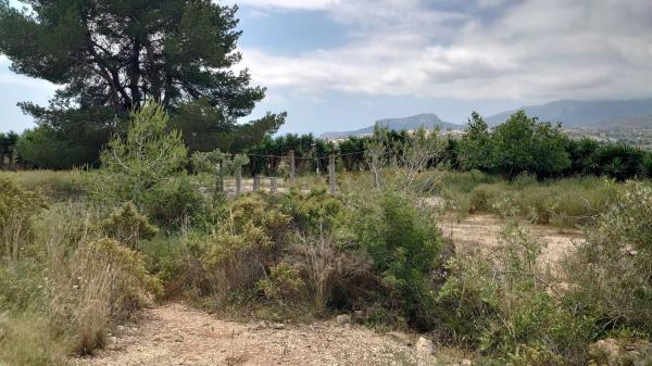 Finca rústica en Partida Canor, 98