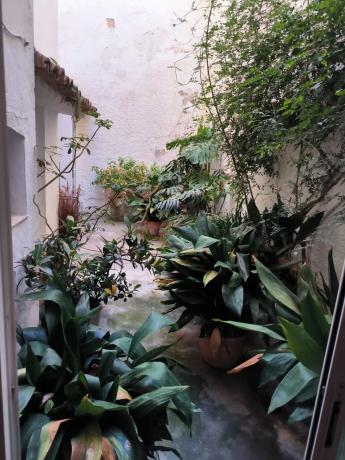 Chalet adosado en plaza Jaume I, 6